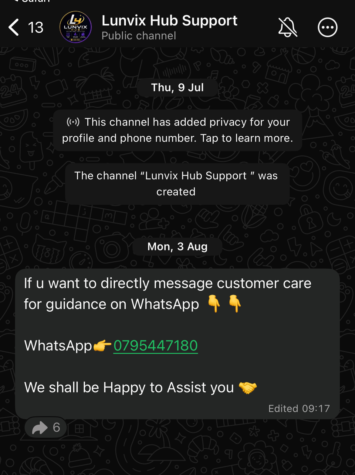 Lunvixhub WhatsApp channel screenshot.